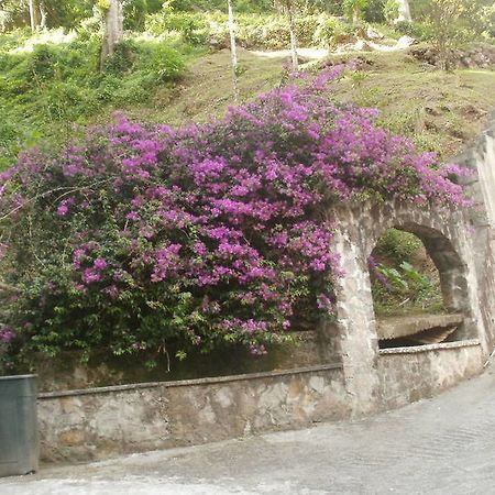 Boinin Heart Villa Soufrière Exterior foto