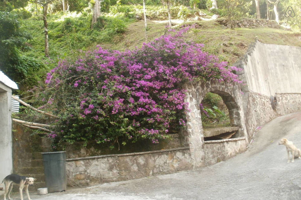 Boinin Heart Villa Soufrière Exterior foto